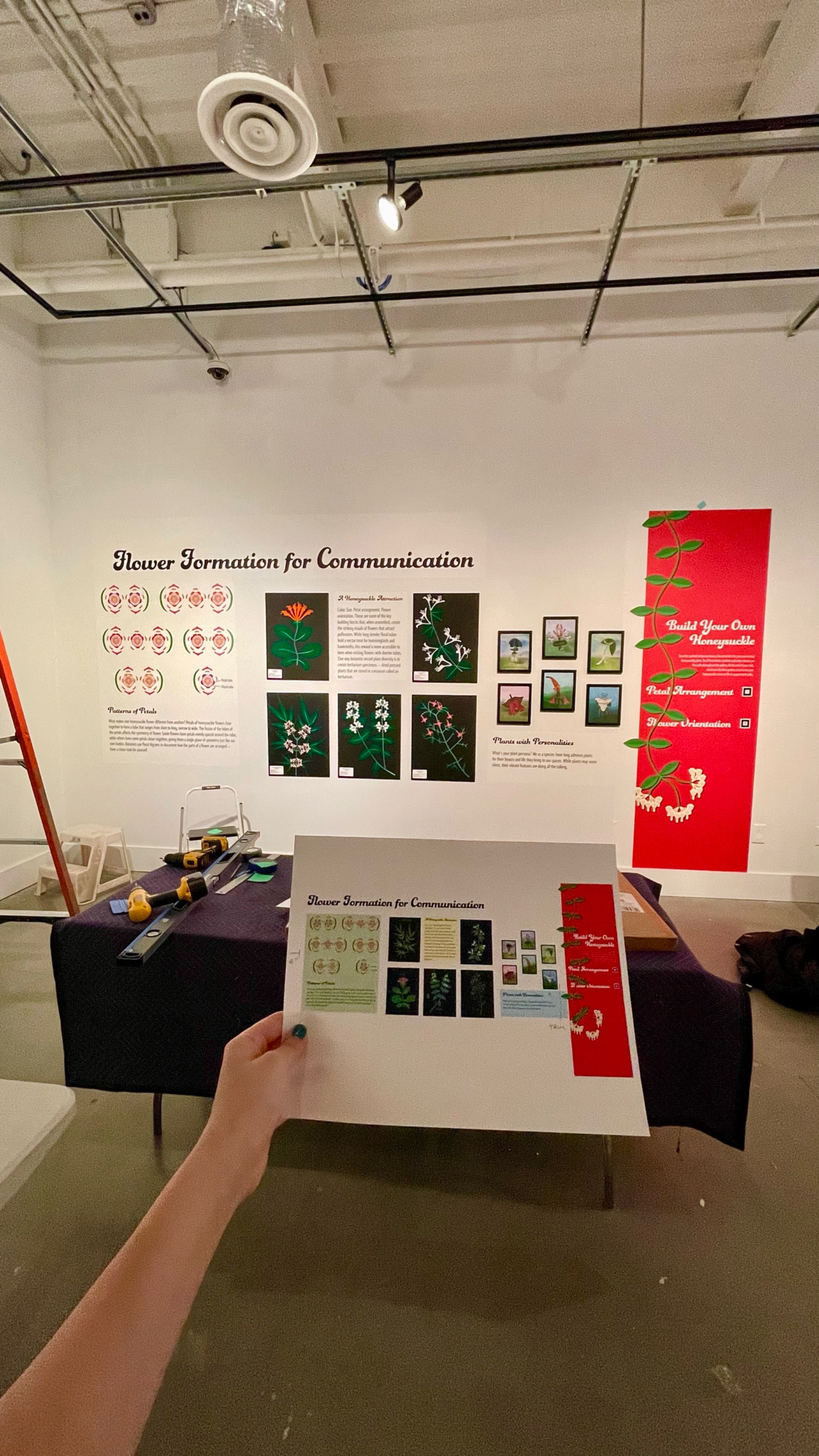 The Flower Formation for Communication wall with petal-pattern diagrams and botanical prints
