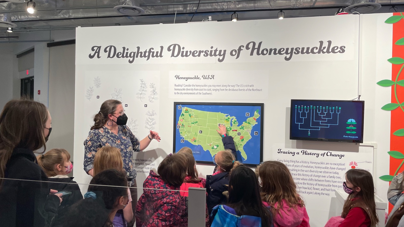 A docent leads a group of children through the Delightful Diversity of Honeysuckles wall with a US map and phylogeny screen